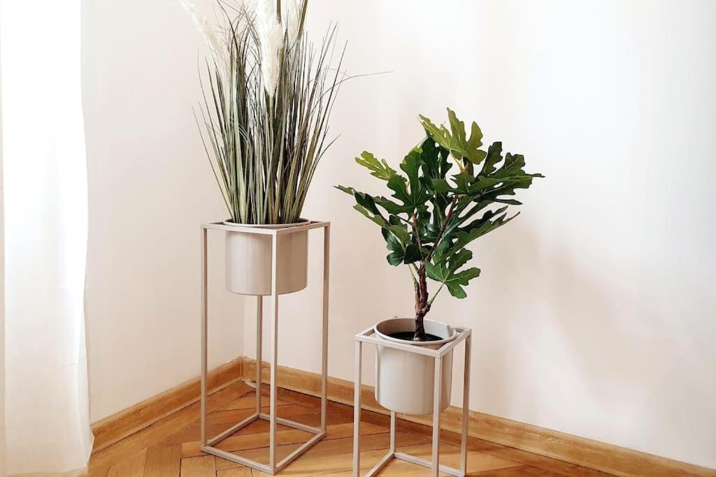 Apartamento Savoir Vivre Rosinagasse *